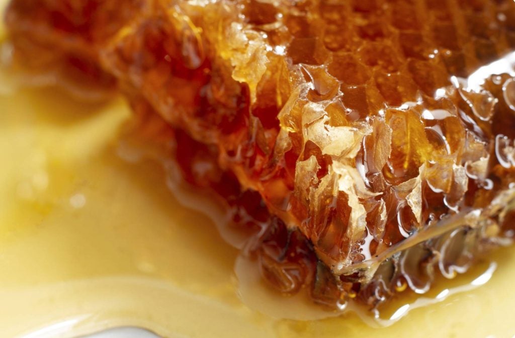 Can dogs eat honey?